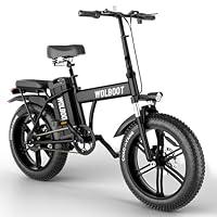 Algopix Similar Product 17 - WOLBOOT Electric Bike 80 Miles Range