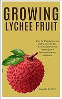 Algopix Similar Product 17 - GROWING LYCHEE FRUIT Step By Step