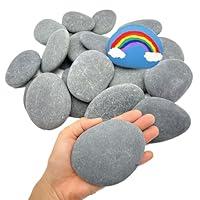 Algopix Similar Product 4 - Lifetop 20PCS Painting Rocks 34 DIY