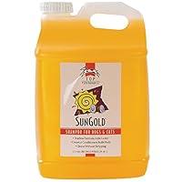 Algopix Similar Product 19 - Top Performance SunGold Puppies and