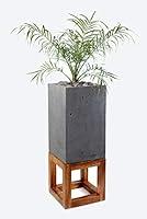 Algopix Similar Product 15 - Concrete Plant Pot Planter Flower Pot