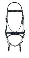 Algopix Similar Product 14 - CAMELOT Crank Flash Dressage Bridle
