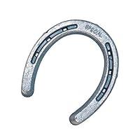Algopix Similar Product 12 - Diamond Farrier DS00B Horseshoe 00