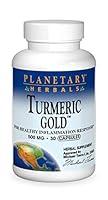 Algopix Similar Product 2 - Planetary Herbals Turmeric Gold 500mg