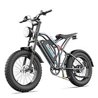 Algopix Similar Product 5 - EKXBIKE T1 Electric Bike for Adults 48V