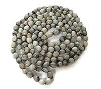 Algopix Similar Product 9 - African Zulu grey seeds Imfibinga or