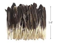 Algopix Similar Product 8 - 1 Pack  Natural Brown Duck Primary