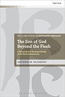 Algopix Similar Product 5 - The Son of God Beyond the Flesh A