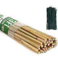 Algopix Similar Product 18 - SWANGSA 40 Pack Bamboo Stakes for Plant