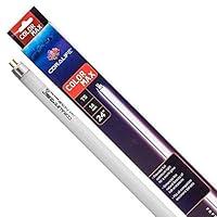 Algopix Similar Product 7 - Coralife T5 Replacement Lamp Colormax