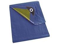 Algopix Similar Product 9 - Perel 1100202 Tarpaulin 2 x 2