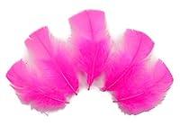 Algopix Similar Product 15 - 14 Lb  Hot Pink Dyed Turkey TBase