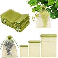 Algopix Similar Product 14 - homeemoh 150pcs Fruit Protection Bags