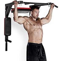 Algopix Similar Product 18 - Merax Wall Mounted PullUp Bar 
