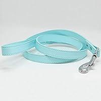 Algopix Similar Product 4 - Blue Light dog Leash Pet Wedding