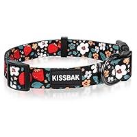 Algopix Similar Product 9 - KISSBAK Dog Collar for Medium Dogs 