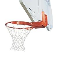 Algopix Similar Product 16 - 6600 Rear Mount Breakaway Goal