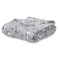 Algopix Similar Product 16 - Berkshire Blanket Peanuts VelvetLoft