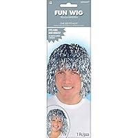 Algopix Similar Product 4 - Amscan Fun Party Wig Costume, Silver
