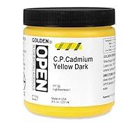 Algopix Similar Product 9 - Golden OPEN Acrylic Colors cadmium