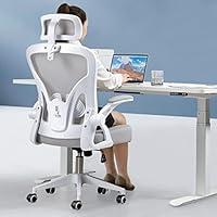 Algopix Similar Product 8 - Office Chair High Back Ergonomic Desk