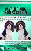 Algopix Similar Product 16 - CAVALIER KING CHARLES SPANIEL DOG