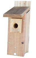Algopix Similar Product 9 - Stovall Products 1H Chickadee and Wren