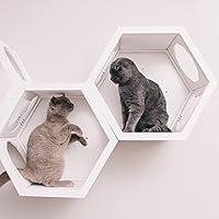 Algopix Similar Product 20 - Wood Cat Tree Wall Cat Bed Wall Cat Toy