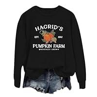 Algopix Similar Product 6 - Hagrids Pumpkin Farm Pumpkin