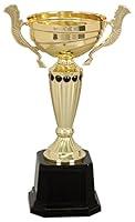 Algopix Similar Product 13 - Decade Awards Cup Trophy Gold  Gold