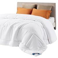 Algopix Similar Product 1 - Bedsure Comforter Duvet Insert 