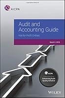 Algopix Similar Product 1 - Audit and Accounting Guide