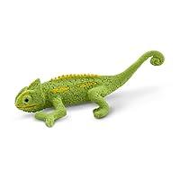 Algopix Similar Product 4 - Safari Animal Chameleons Multicoloured