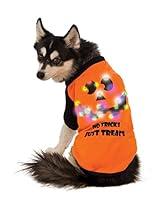 Algopix Similar Product 7 - Rubies LED LightUp Halloween Dog