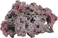 Algopix Similar Product 2 - Caribsea Rock Shelf, 40-Pound