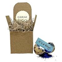 Algopix Similar Product 19 - Surprise Gender Reveal Quail Eggs 