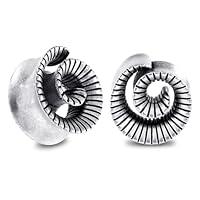 Algopix Similar Product 16 - Stuppendux 2PCS Spiral Shape Silver