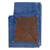 Algopix Similar Product 15 - TARP POLY BLUE/BRN 10X20