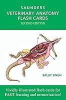 Algopix Similar Product 1 - Veterinary Anatomy Flash Cards
