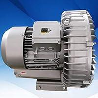 Algopix Similar Product 3 - HLXB Single Phase Blower 110V Fish Pond