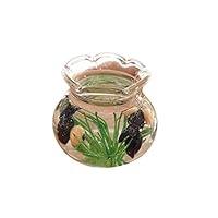 Algopix Similar Product 12 - Wenini Mini Fish Tank  Miniature