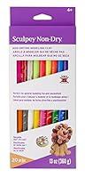 Algopix Similar Product 19 - Sculpey NonDry Resuable non drying