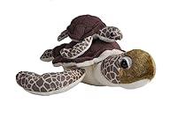 Algopix Similar Product 1 - WILD REPUBLIC Mom and Baby Sea Turtle