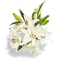 Algopix Similar Product 4 - Produce Lily 3 Stem, 1 EA