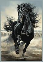 Algopix Similar Product 18 - Black Stallion Horse Notebook  7 x 10