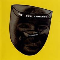 Algopix Similar Product 11 - How I Quit Smoking