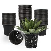 Algopix Similar Product 4 - TAQIXI 100 Packs Nursery Pots3 Inches