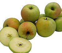 Algopix Similar Product 7 - Kauffman Orchards Homegrown Crispin