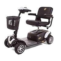 Algopix Similar Product 7 - BUZZAROUND EX 4Wheel Heavy Duty Long