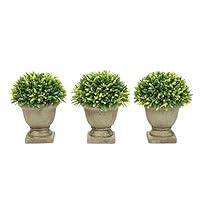 Algopix Similar Product 3 - Pure Garden Artificial Podocarpus Grass